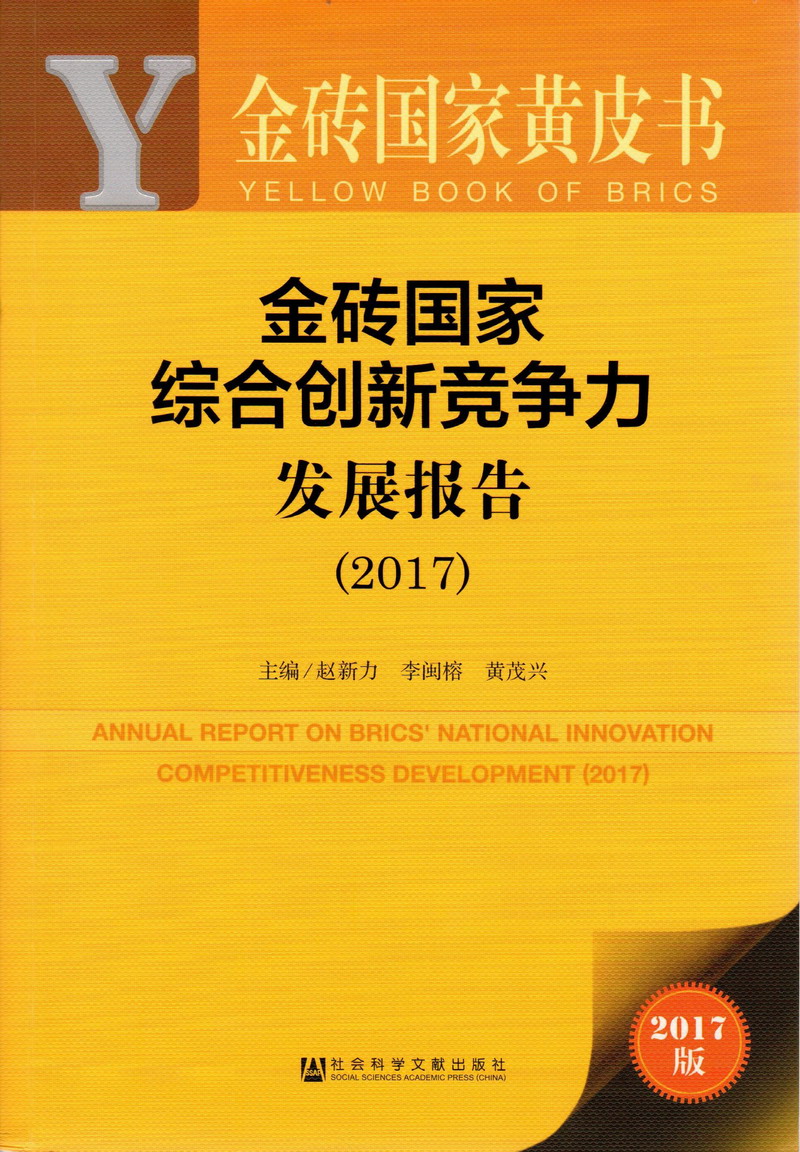 看操大肥逼视频金砖国家综合创新竞争力发展报告（2017）